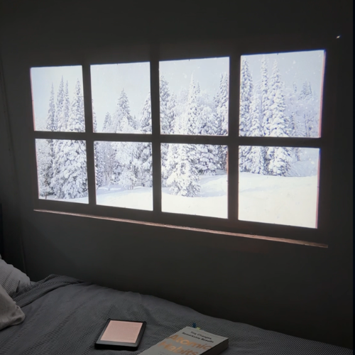 Realm Portal™ Projector