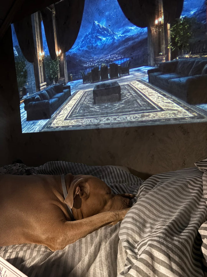 Realm Portal™ Projector